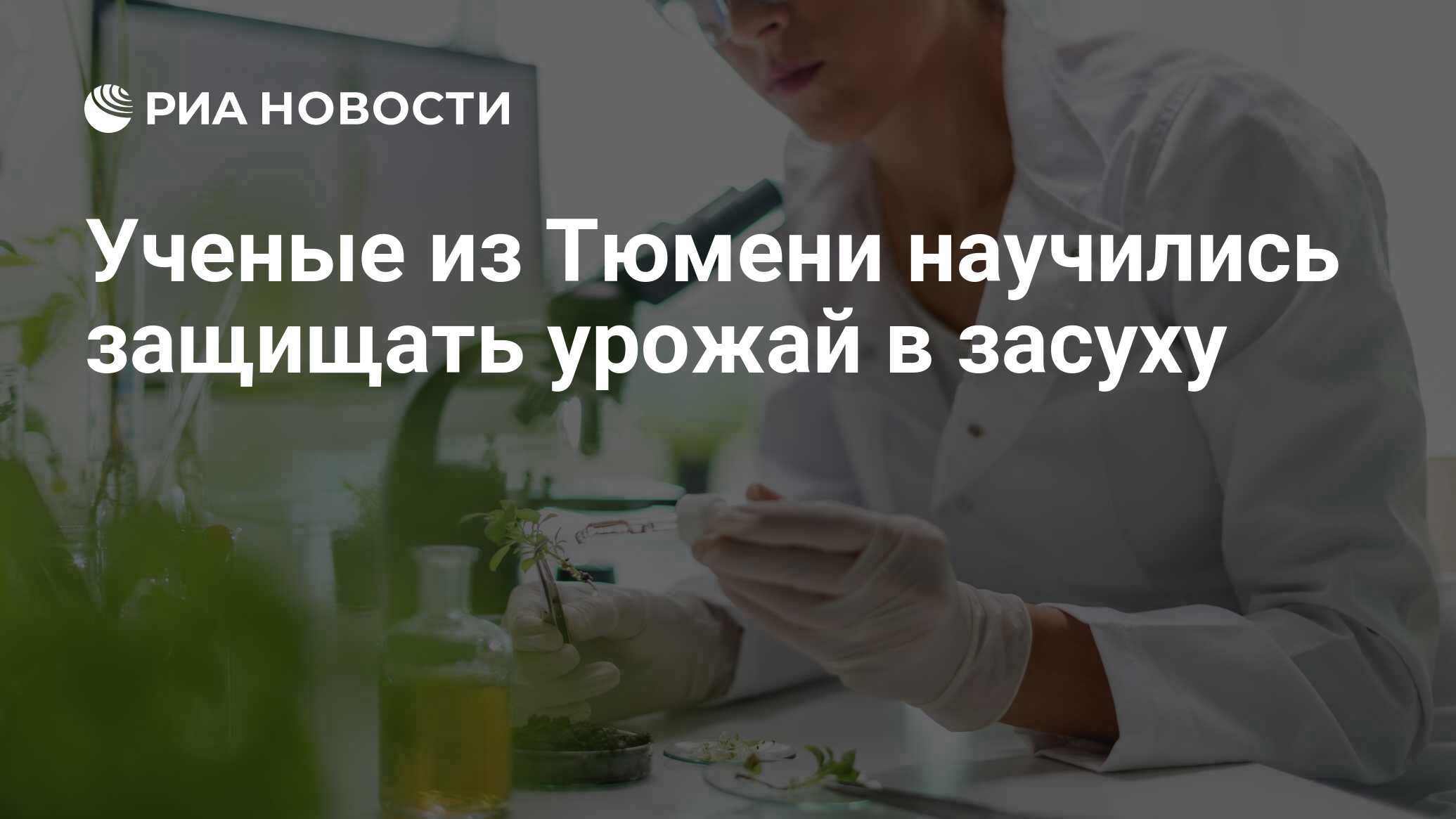 Preview Ученые из Тюмени научились защищать урожай в засуху