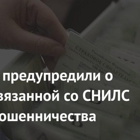 Новая мошенническая схема со СНИЛС: россиян призывают к бдительности