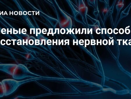 Российские ученые представили революционный материал для деликатного восстановления нервной ткани