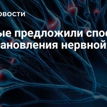 Российские ученые представили революционный материал для деликатного восстановления нервной ткани