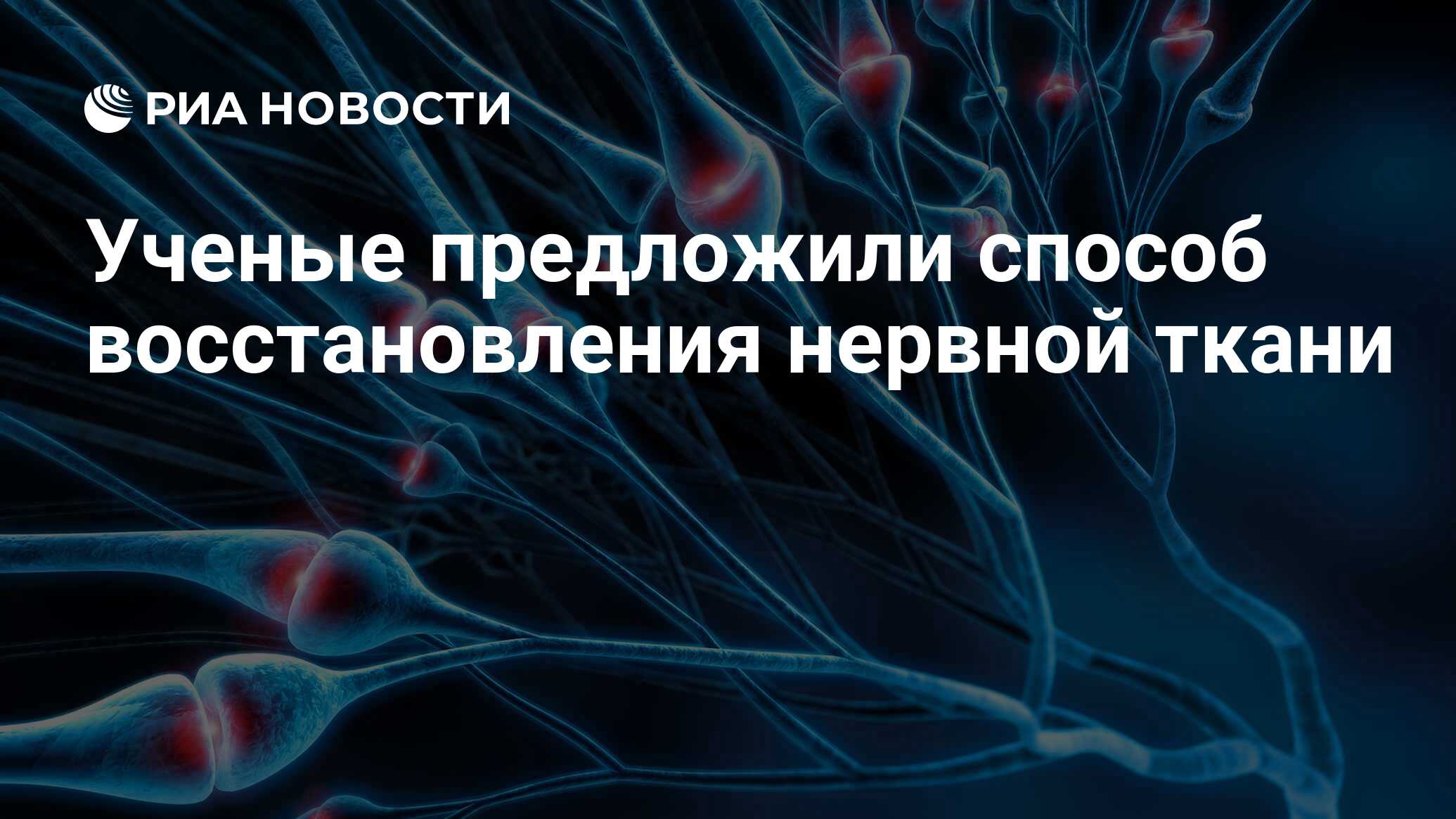 Preview Российские ученые представили революционный материал для деликатного восстановления нервной ткани