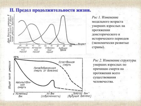 Велданова: предел продолжительности жизни человека не достигнут