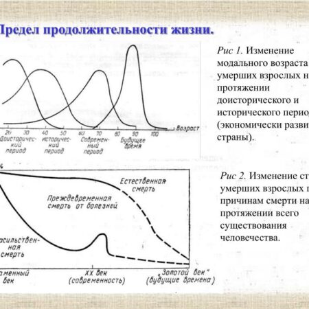 Велданова: предел продолжительности жизни человека не достигнут