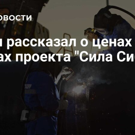 Путин о выгоде «Силы Сибири-2»: Рыночные цены и экспертный анализ