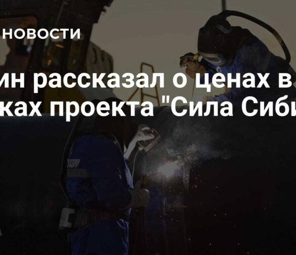 Путин о выгоде «Силы Сибири-2»: Рыночные цены и экспертный анализ