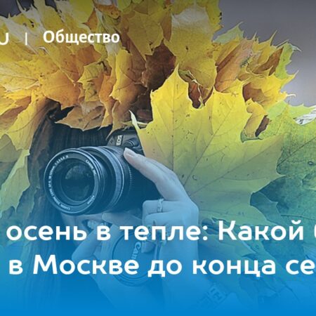 Теплое начало осени: погода в Москве на текущей неделе
