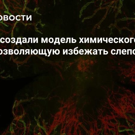 Ученые создали модель химического ожога глаза, позволяющую избежать слепоты