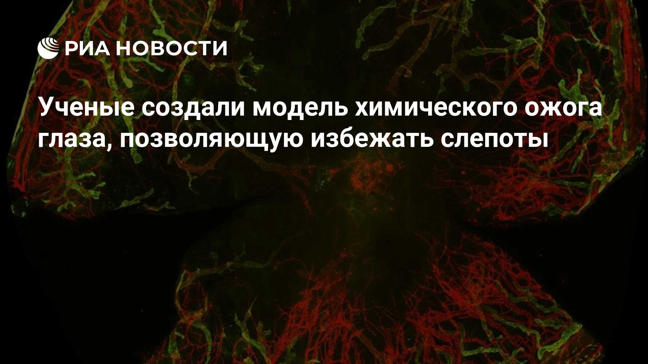 Preview Ученые создали модель химического ожога глаза, позволяющую избежать слепоты