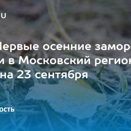 Ночные заморозки пришли в столичный регион
