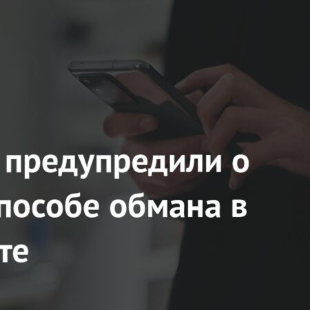 Внимание: мошенники освоили новый способ обмана через выкуп доменов