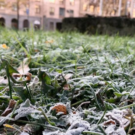 В Москву и область приходят заморозки