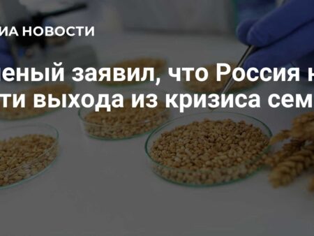 Ученый заявил, что Россия на пути выхода из кризиса семян