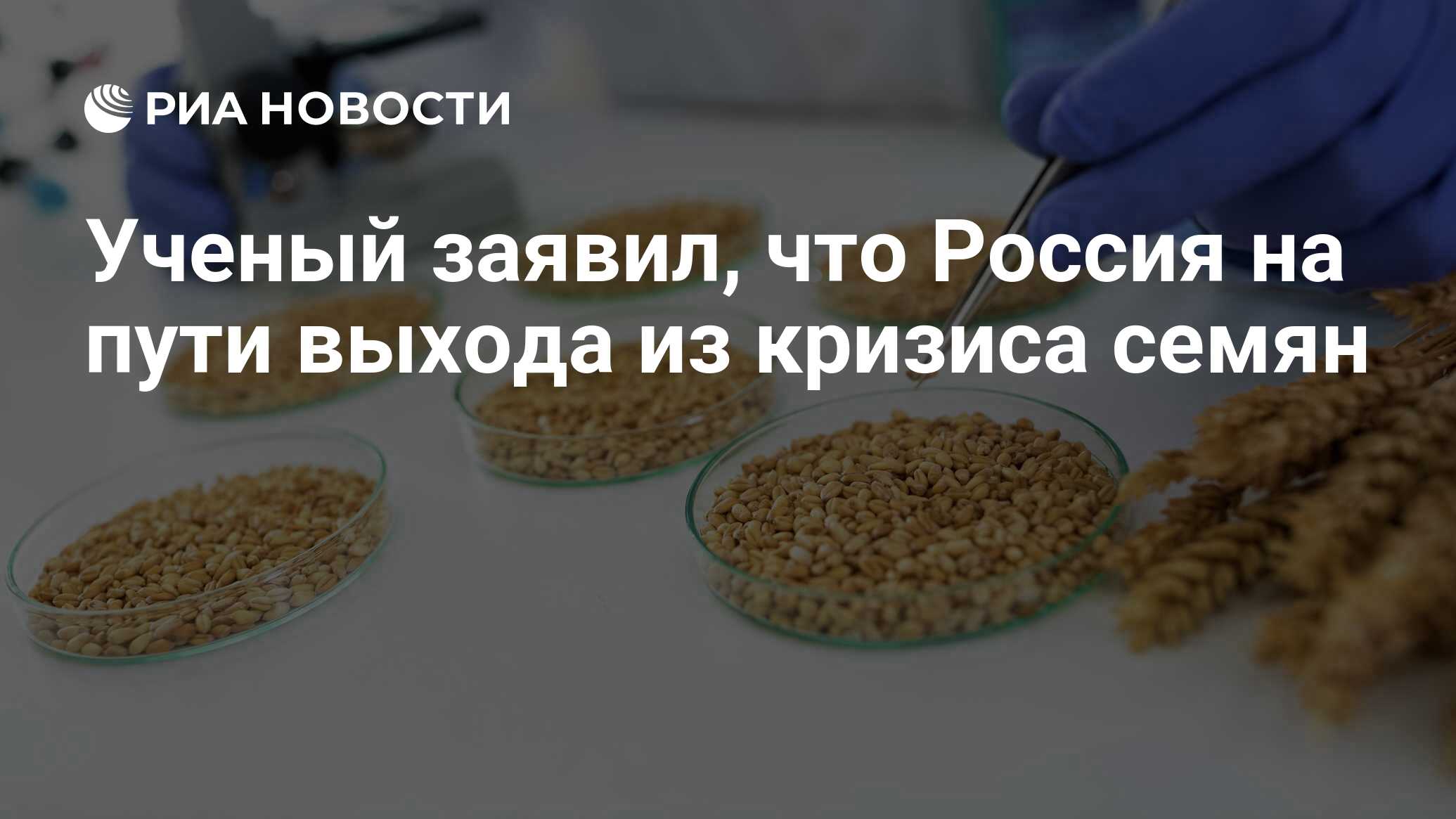 Preview Ученый заявил, что Россия на пути выхода из кризиса семян