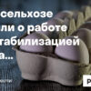 Падение цен на куриные яйца создает серьезные проблемы для аграриев