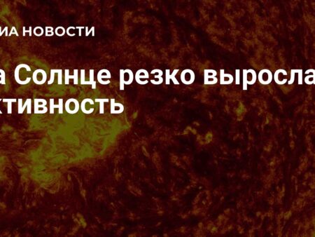 Резкий рост солнечной активности: комментарий астронома ИКИ РАН