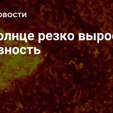 Резкий рост солнечной активности: комментарий астронома ИКИ РАН