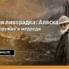 Золотая лихорадка: Как рекордные $4000 за унцию золота повлияли на россиян и куда движется цена