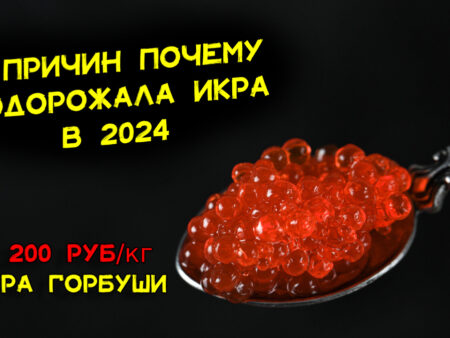 Впервые с 2024 года красная икра стала доступнее
