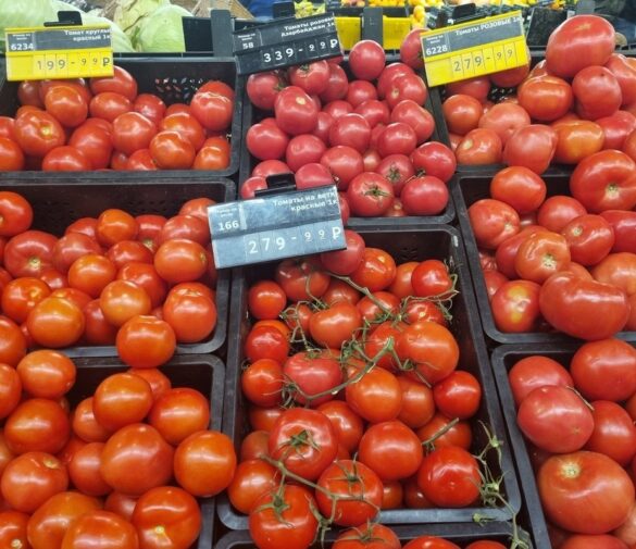 Томат-тест: «Подводные камни» сверхдорогих помидоров и их цена