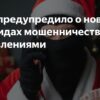 МВД предупреждает о новогодних мошеннических схемах