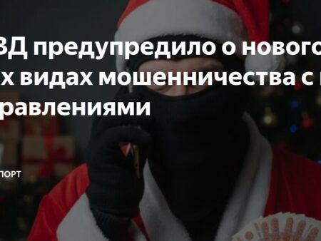 МВД предупреждает о новогодних мошеннических схемах
