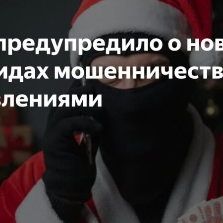 МВД предупреждает о новогодних мошеннических схемах