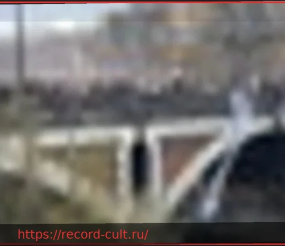 Трансфеминистская забастовка: в Риме вывешен баннер против войны