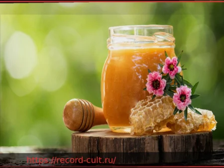 Мед манука для здоровья: что говорят исследования