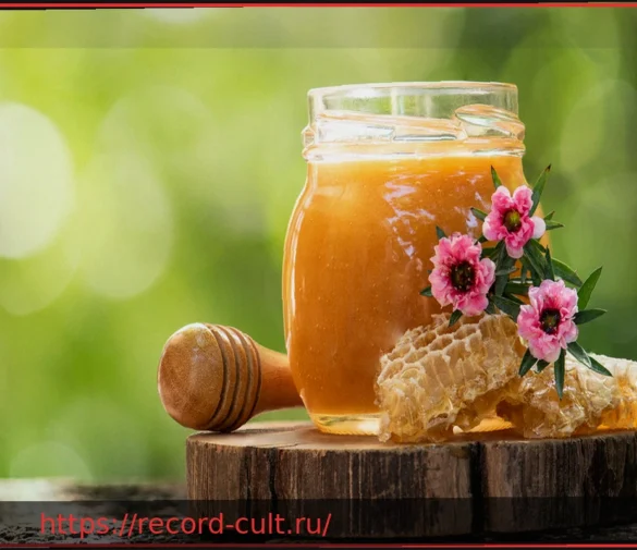 Мед манука для здоровья: что говорят исследования