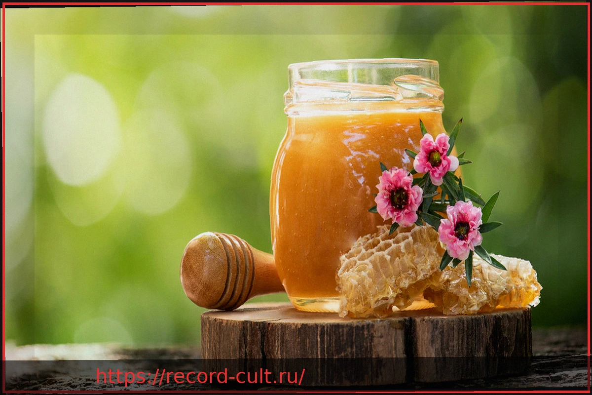 Preview Мед манука для здоровья: что говорят исследования