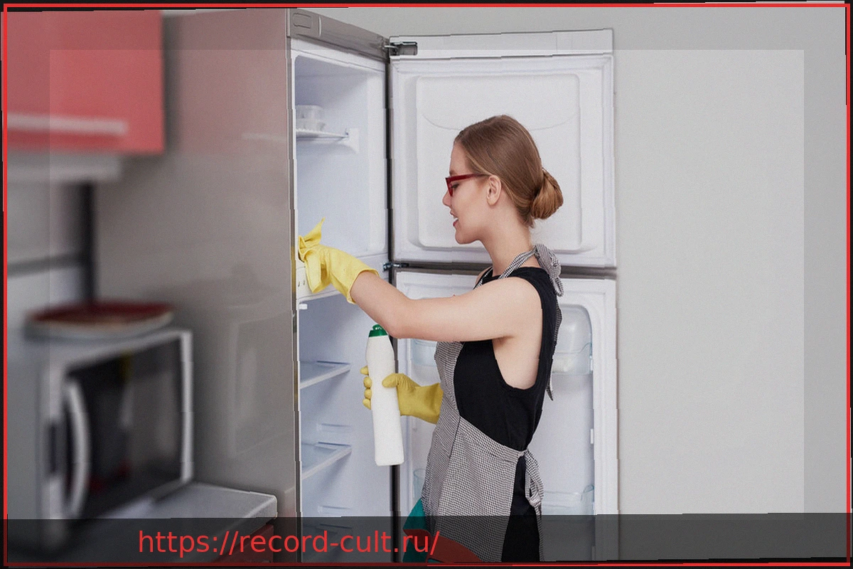 Preview Борьба с микробами в холодильнике: важность температуры и чистоты