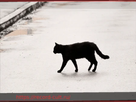 Боязнь пятницы, 13-го: Почему этот день на самом деле не несчастливый?