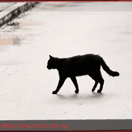 Боязнь пятницы, 13-го: Почему этот день на самом деле не несчастливый?