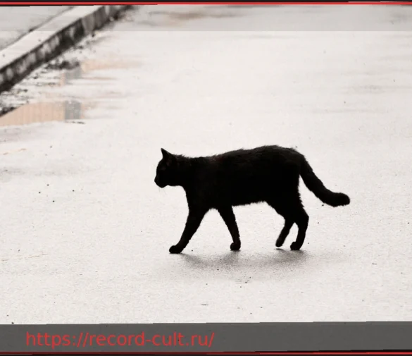 Боязнь пятницы, 13-го: Почему этот день на самом деле не несчастливый?