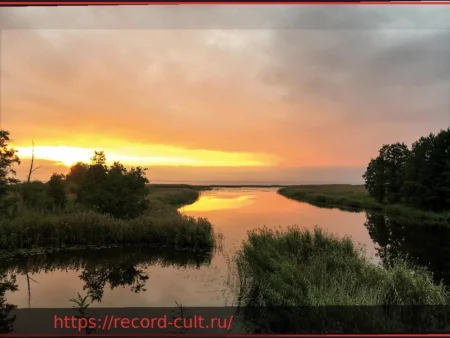 Выставка «Скука»: Новый Взгляд на Привычное Чувство