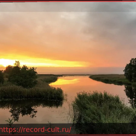 Выставка «Скука»: Новый Взгляд на Привычное Чувство