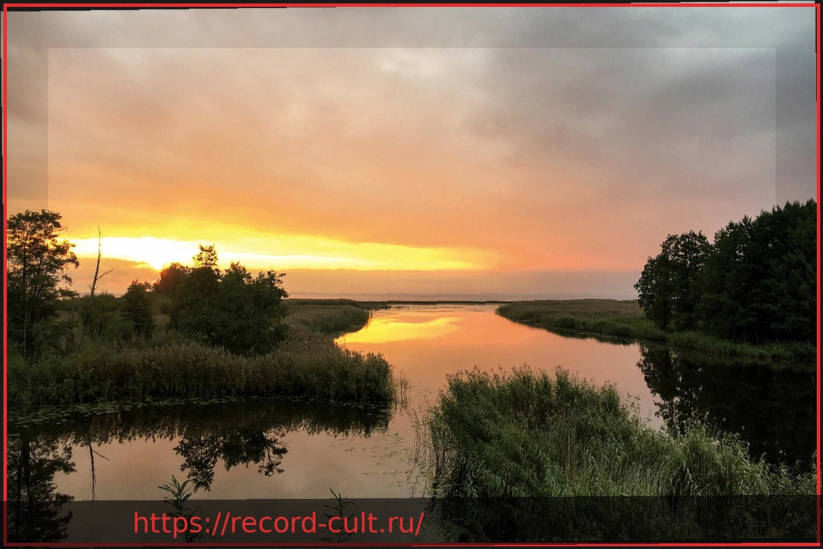 Preview Выставка «Скука»: Новый Взгляд на Привычное Чувство