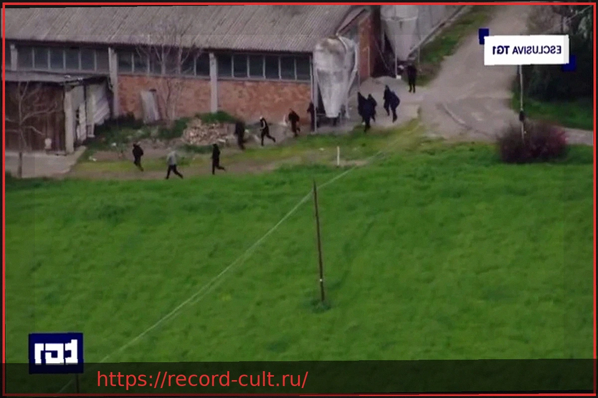 Preview Полицейская операция в Модене: обезврежена банда, совершавшая нападения на инкассаторские автомобили