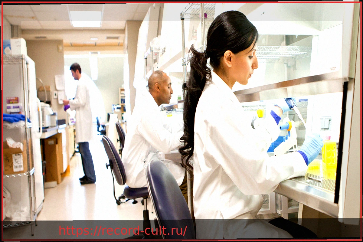 Preview Привлекательность Германии для американских учёных на фоне политики Трампа