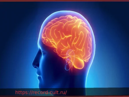 Почему нельзя недооценивать черепно-мозговую травму