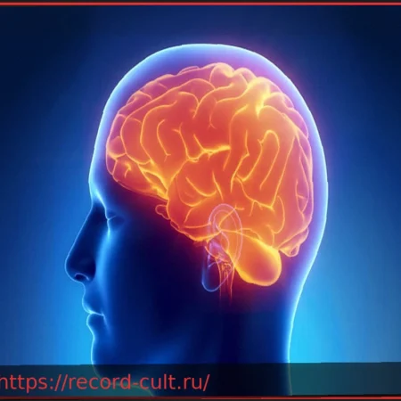Почему нельзя недооценивать черепно-мозговую травму