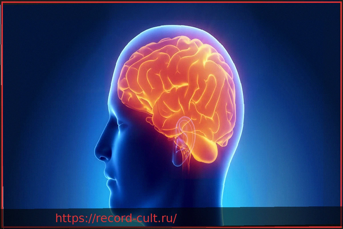 Preview Почему нельзя недооценивать черепно-мозговую травму