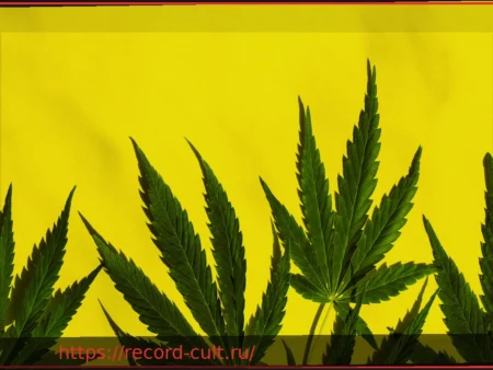 Два года после легализации каннабиса: Меньше правонарушений, рост потребления