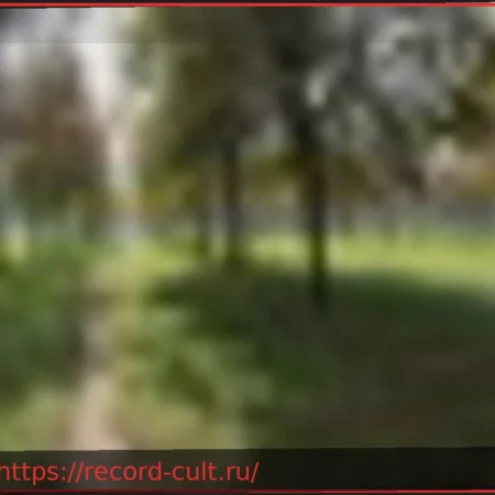 Forestami в Милане: Конференция о значении городских деревьев и их крон