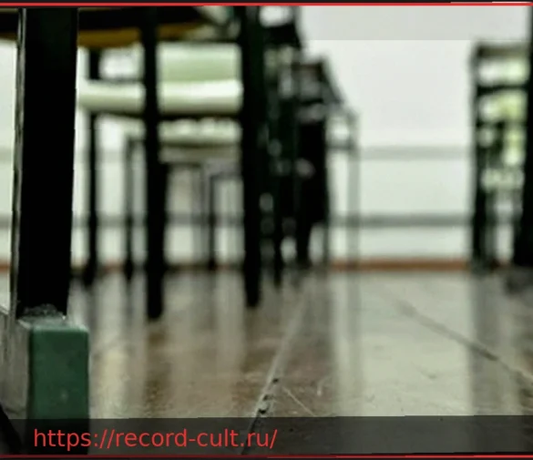 Скандал в Иврее: Школьников агитировали против реформы правосудия