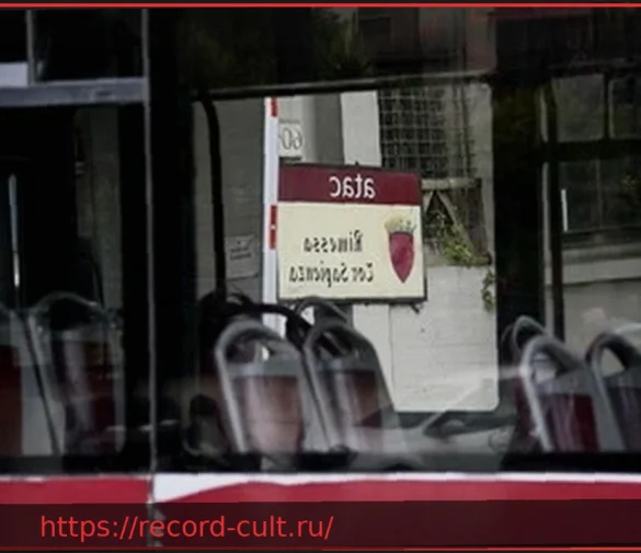 Нападение с ножом в римском автобусе: пассажир получил 5 ранений