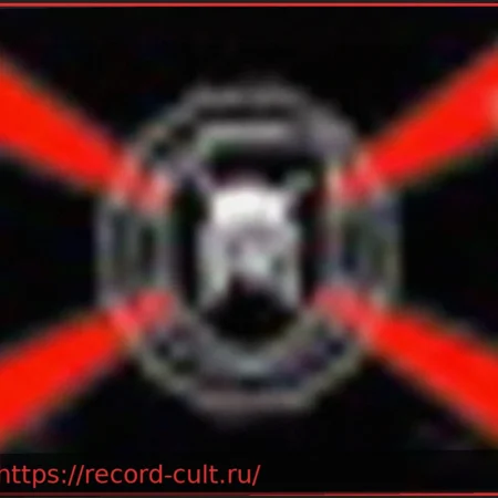 В Италии арестован 17-летний подросток по обвинению в пропаганде и терроризме в рамках операции «Ненависть»