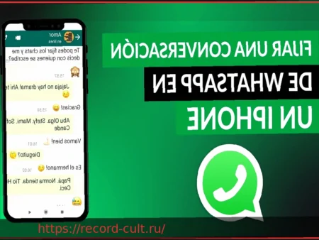WhatsApp: Управление хранилищем, две учетные записи на iPhone и расширенный перенос чатов