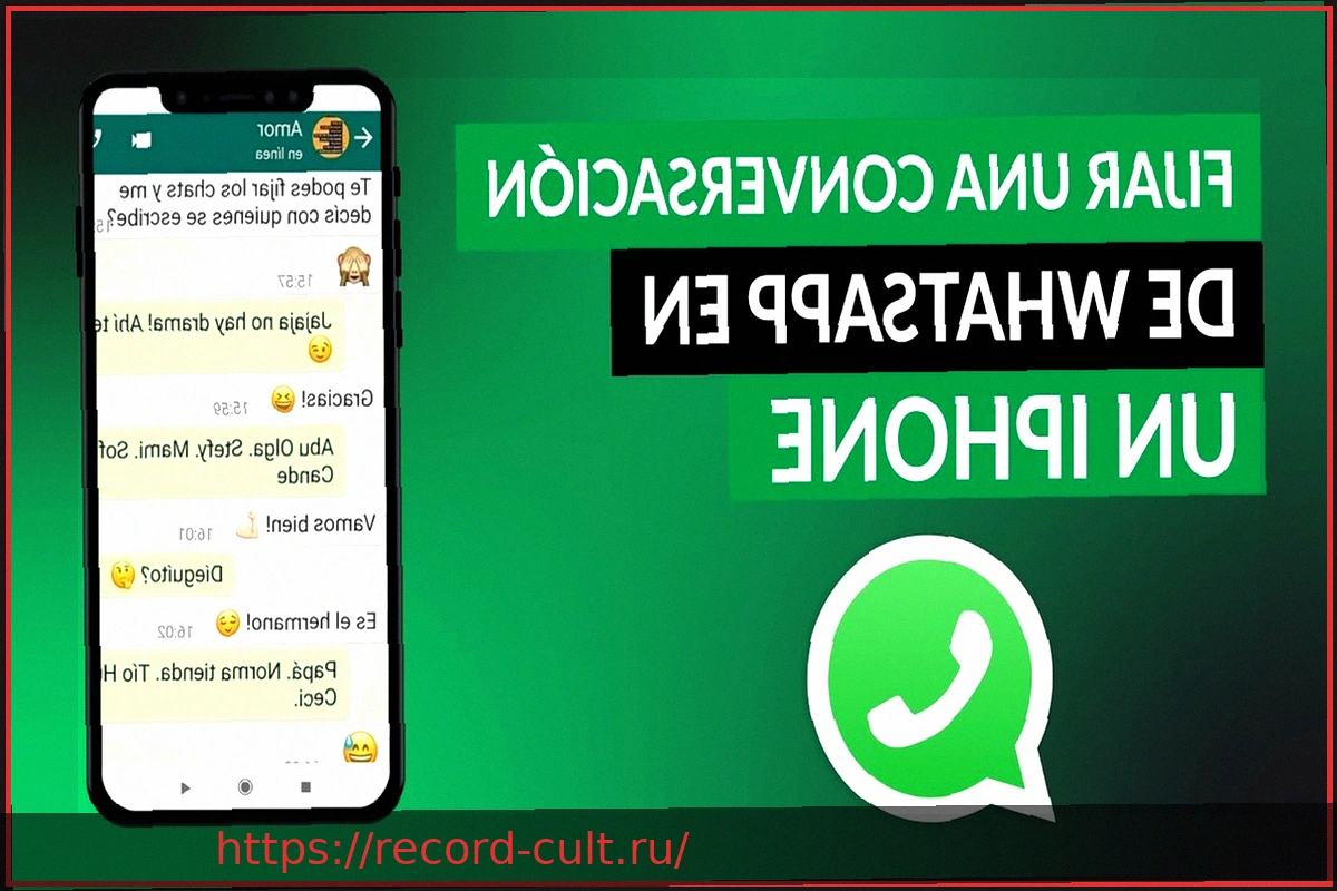 Preview WhatsApp: Управление хранилищем, две учетные записи на iPhone и расширенный перенос чатов
