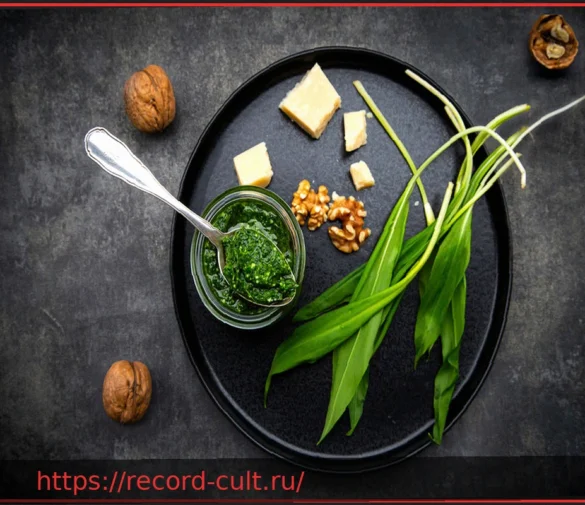 Черемша: Всё, что нужно знать об этом полезном дикорастущем растении